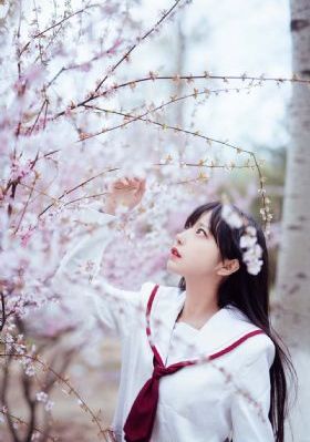 黑帮大佬和我的3_720电视剧在线观看