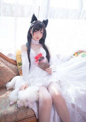 伦理小蜜桃_免费手机观看